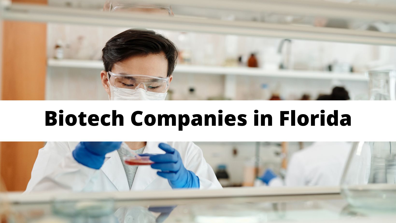 Top 7 Biotech Companies in Florida Update 2022 MyPostingHub